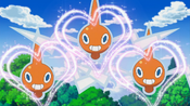 The Rotom are not affected by Attract