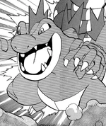Feraligatr was initially stolen from Elm's Laboratory as a Totodile, but it grew on Silver after their adventures together. Totodile evolved into Croconaw whilst at Sprout Tower, and into Feraligatr at Whirl Islands while battling Lugia.