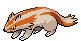 Linoone's Pokémon Black Version and Pokémon White Version Shiny sprite