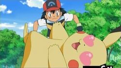 Sticking With Who You Know Pokemon Wiki Fandom Sticking With Who You Know Pokemon Wiki Fandom