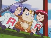 Meowth admires Cyndaquil and Noctowl