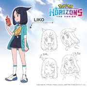 Liko expression sheet