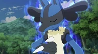 Ash's Lucario using Aura to locate Bruxish.