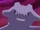 Macro Cosmos employee's Steelix