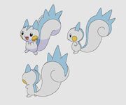 Pachirisu colored concept art