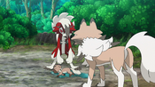 Both Lycanroc find Ash's Rockruff just sitting there, looking hurt