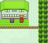 The gym (Gen II)