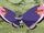 Vivillon (XY012)