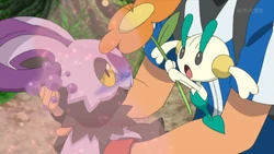 Aromatherapy Pokemon Wiki Fandom