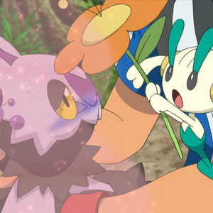 Aromatherapy Pokemon Wiki Fandom Aromatherapy Pokemon Wiki Fandom