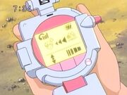 Misty Pokégear