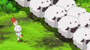 Scorbunny trying to look for Goh in the Wild Area