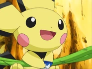 Pichu