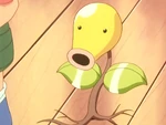 Zackie captured Bellsprout by accident and was not amazed, as Bellsprout copied his moves. However, after battling Team Rocket, Zackie befriended it.
