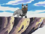 Poochyena was seen in A Six Pack Attack! where its keen sense of smell was used to find several First partner Pokémon.