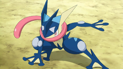 Ash's Greninja