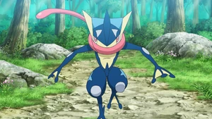 Ash's Greninja