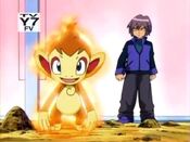 Chimchar activates Blaze