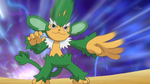 Angus sent Simisage to battle Ash's Scraggy. Despite the offensive moves, Simisage was defeated by Scraggy.