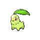 Chikorita NB