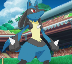 Lucario (The aura Guardian) - As for Paradox Raikou, I don't know. I guess  I'm indifferent to it? Could be a lot better but it doesn't really ruin the  Pokémon for me.