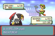 Mach Punch depicted in Generation III