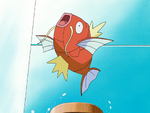 Oralie's Magikarp battled against Dawn's Piplup. It defeated Piplup by using Tackle. Ash battled her Magikarp as well with Pikachu but the battle never finished as Team Rocket interfered.