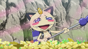 Meowth is attracted to the pollen
