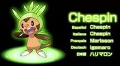 Chespin Chespin