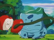 Bulbasaur splits the apple