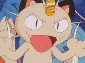 Meowth stands in the way