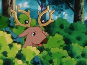 A Stantler appears