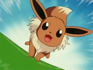 Using Take Down as Eevee