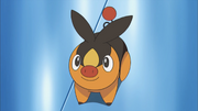 Nanette Tepig