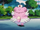 Nurse Joy's Blissey