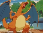 Charizard is one of the Battle Park's Pokémon. Jessie used it in battle against Ash's Totodile and lost.
