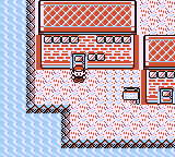 Cinnabar Island | Pokémon Wiki | Fandom