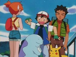 Pokemon The Johto Journeys, Wiki