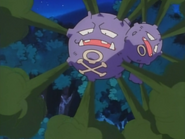 Smog being used by James' Weezing.