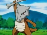 Marowak is used in a battle against Ash's Bulbasaur and Pikachu. However, after defeating Bulbasaur, it is quickly defeated by Pikachu. After realising that all of its hard work earning the badges was lost after Otoshi's were stolen, it left him. It eventually came back after thinking about the training it went through with Otoshi and saved the day from Team Rocket.