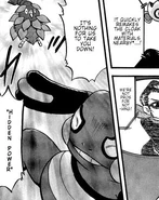 Hidden Power being used by Paka's Burmy.