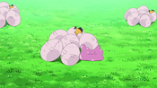 A Ditto pretended to be another egg of the Exeggcute