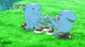 Wobbuffet spends time with female Wobbuffet