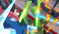 Ash greeninja vs mega sceptile