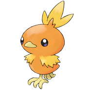 Torchic