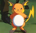 Lt. Surge used Raichu to battle Ash. Lt. Surge used a Thunder Stone to evolve his Raichu for new moves, though Raichu's speed is limited.