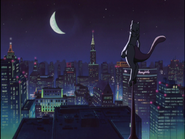 Mewtwo in the City