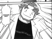 Professor Birch in Pokémon Adventures (manga)