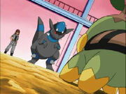 RampardosVs.Turtwig