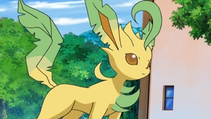 Zoey's Leafeon.